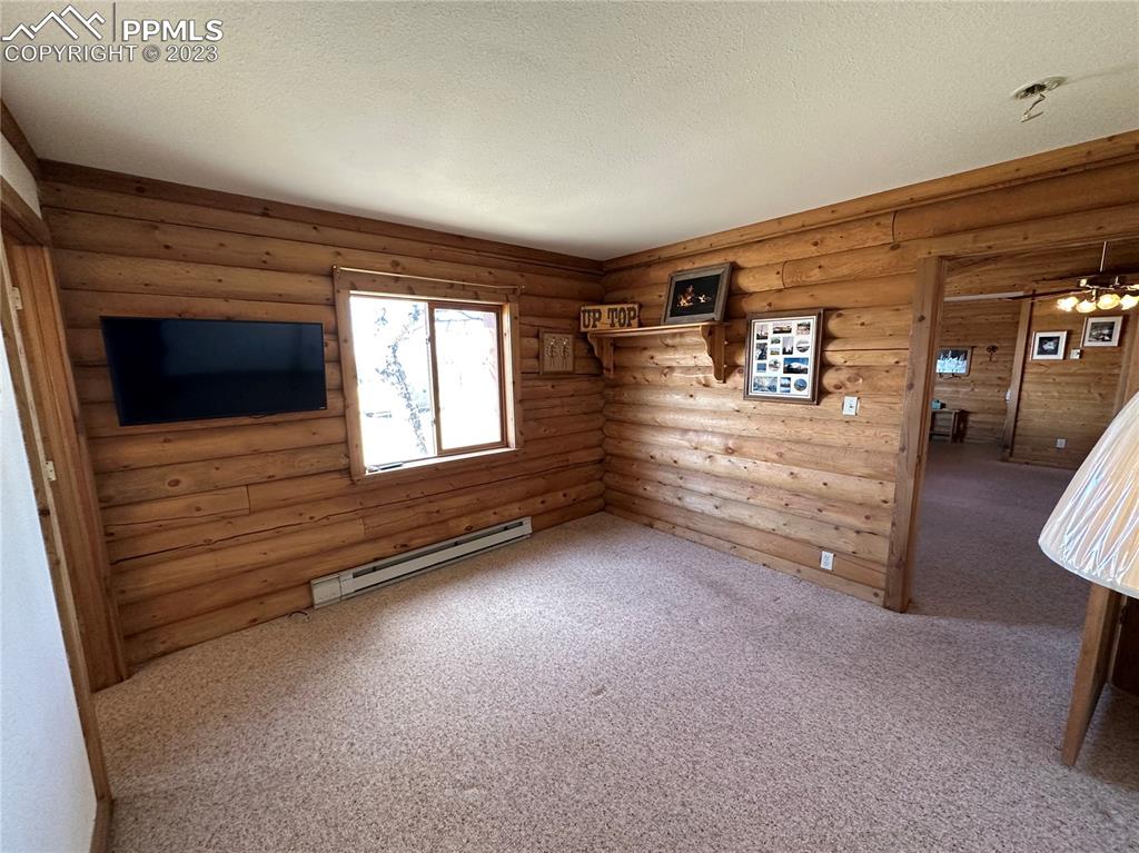 1327 County Road 863 Victor, CO 80860 - Photo 13 of 29 a view of empty room with a fireplace