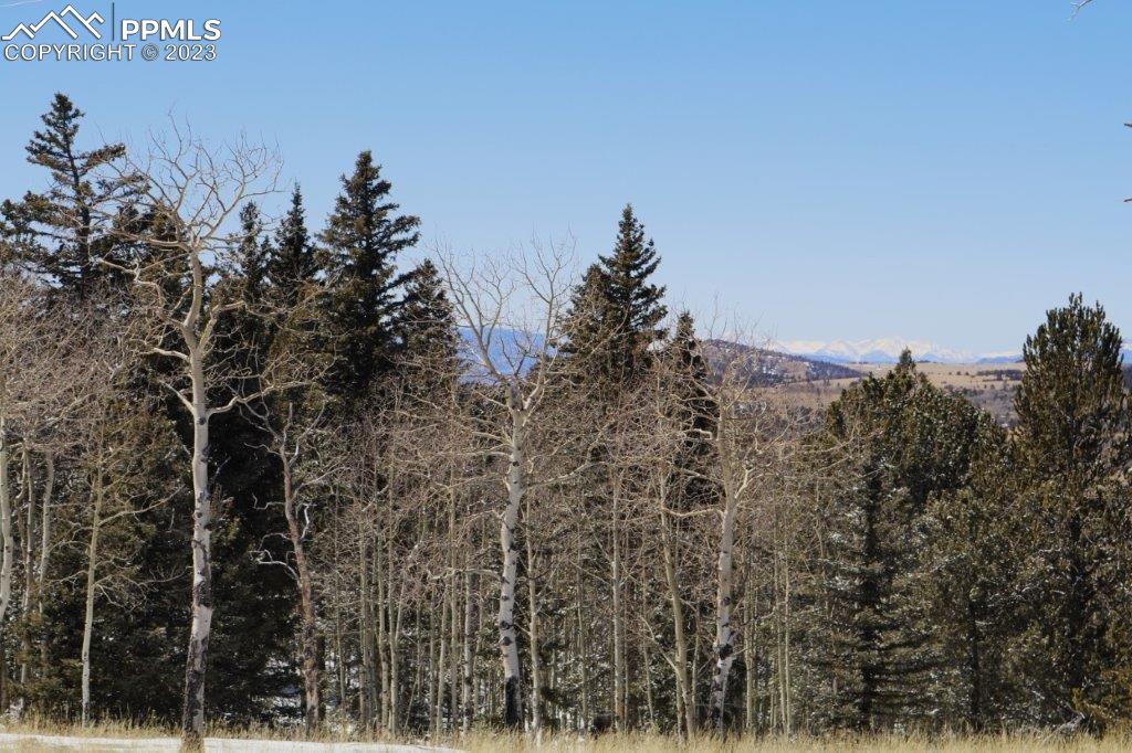 1327 County Road 863 Victor, CO 80860 - Photo 17 of 29 a view of a yard