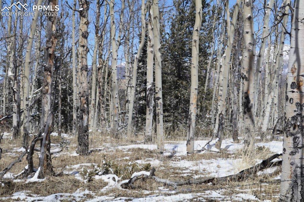1327 County Road 863 Victor, CO 80860 - Photo 22 of 29 a view of a entrance of the house