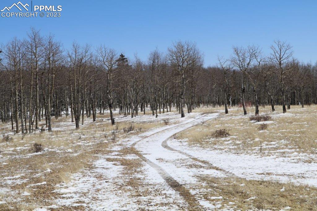 1327 County Road 863 Victor, CO 80860 - Photo 23 of 29 a view of snow on the road