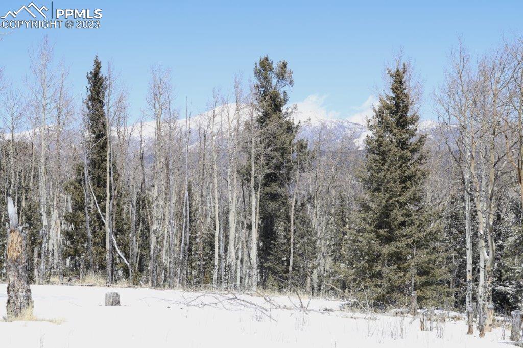1327 County Road 863 Victor, CO 80860 - Photo 24 of 29 a view of a snow with trees in the background