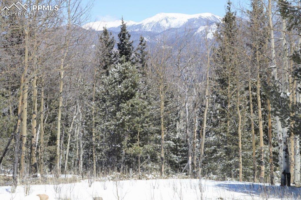 1327 County Road 863 Victor, CO 80860 - Photo 25 of 29 a view of a yard from a balcony