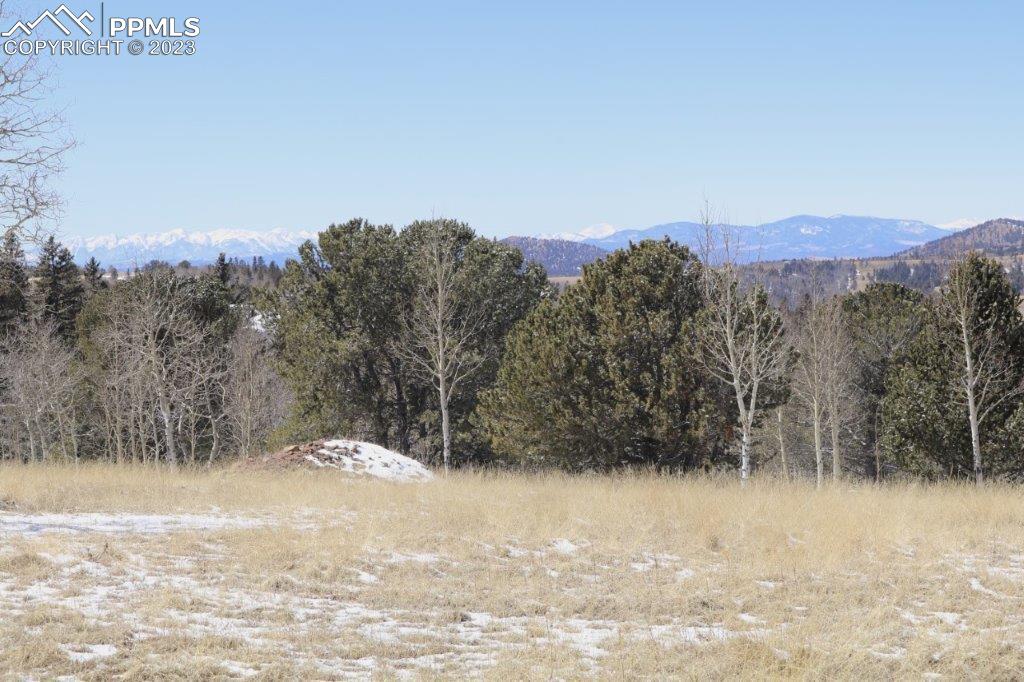 1327 County Road 863 Victor, CO 80860 - Photo 27 of 29 a view of a road with a snow in the background