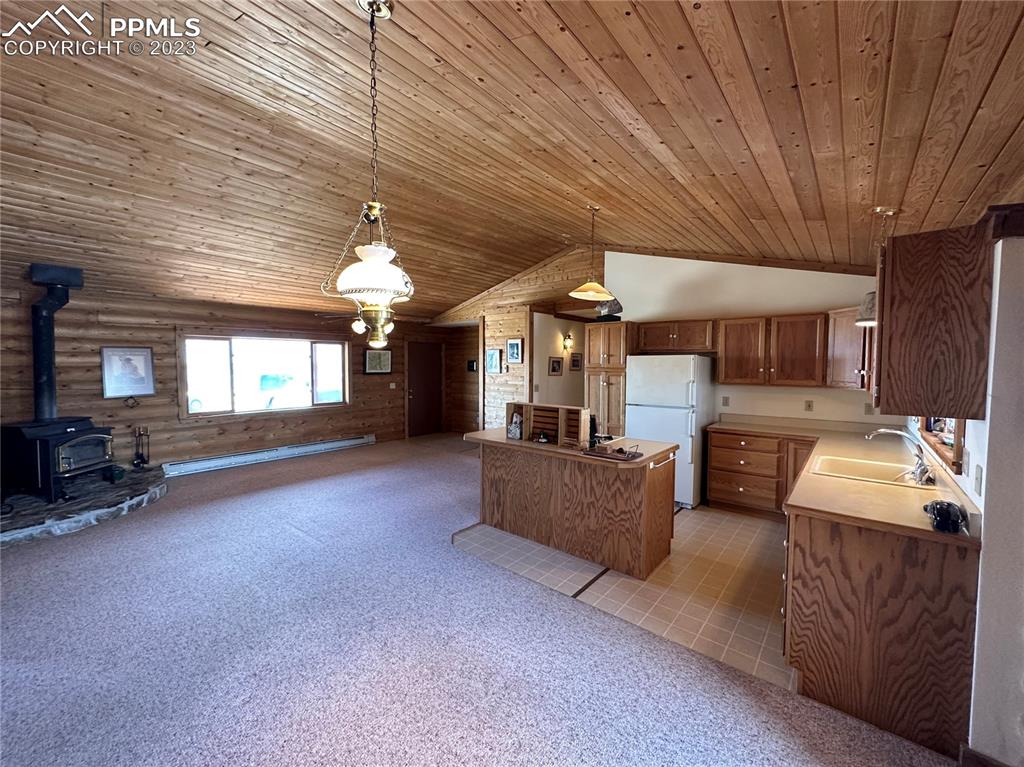 1327 County Road 863 Victor, CO 80860 - Photo 3 of 29