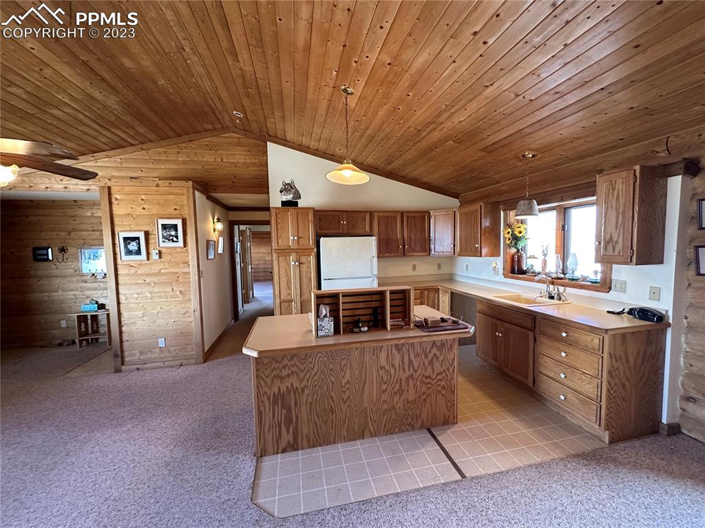 1327 County Road 863 Victor, CO 80860 - Photo 4 of 29 a living room with furniture and a kitchen