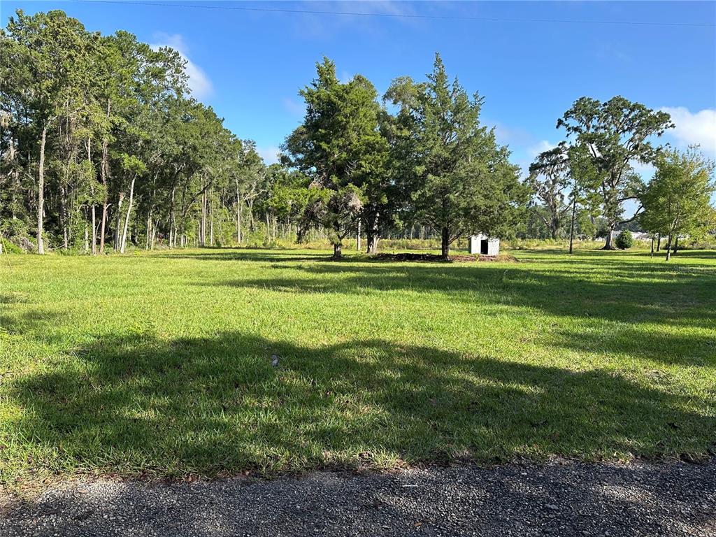 5542 Southwest 57th Avenue Gainesville, FL 32608 - Photo 2 of 15 a big yard with lots of green space and trees