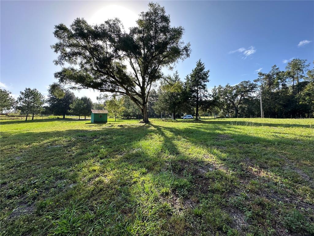 5542 Southwest 57th Avenue Gainesville, FL 32608 - Photo 3 of 15 a view of a park with large trees