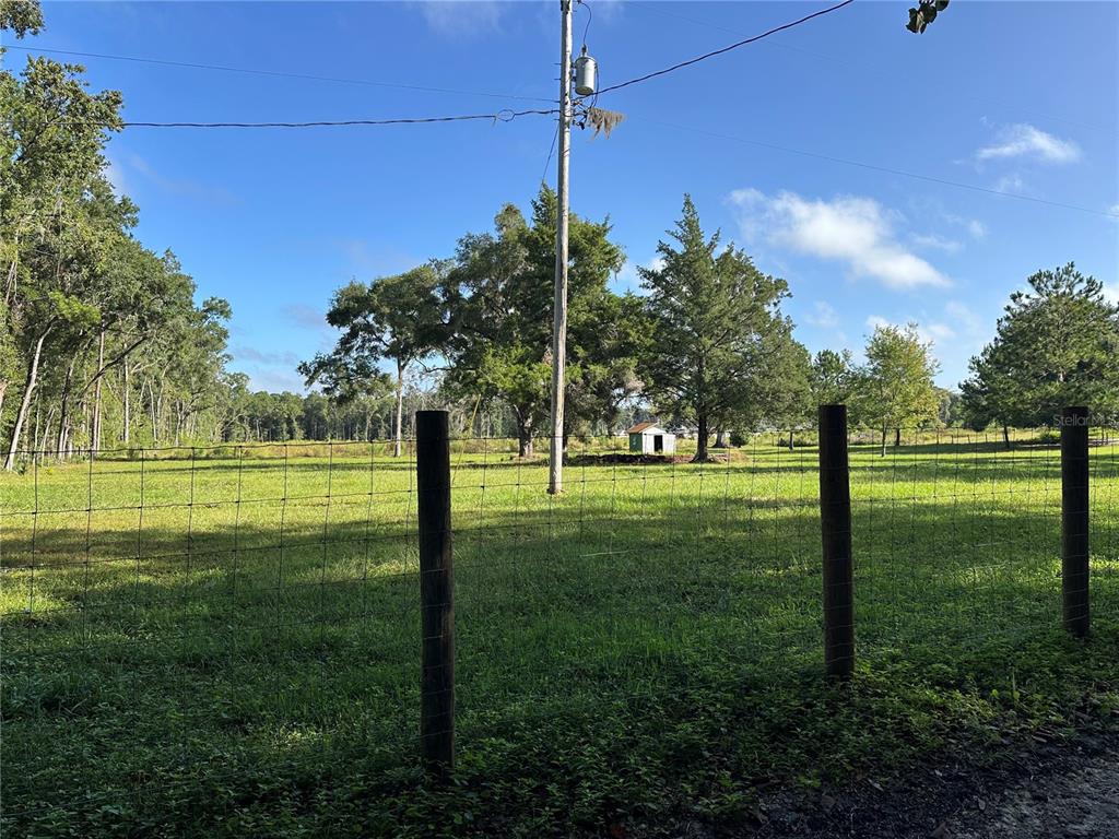 5542 Southwest 57th Avenue Gainesville, FL 32608 - Photo 6 of 15 a view of a park with big trees