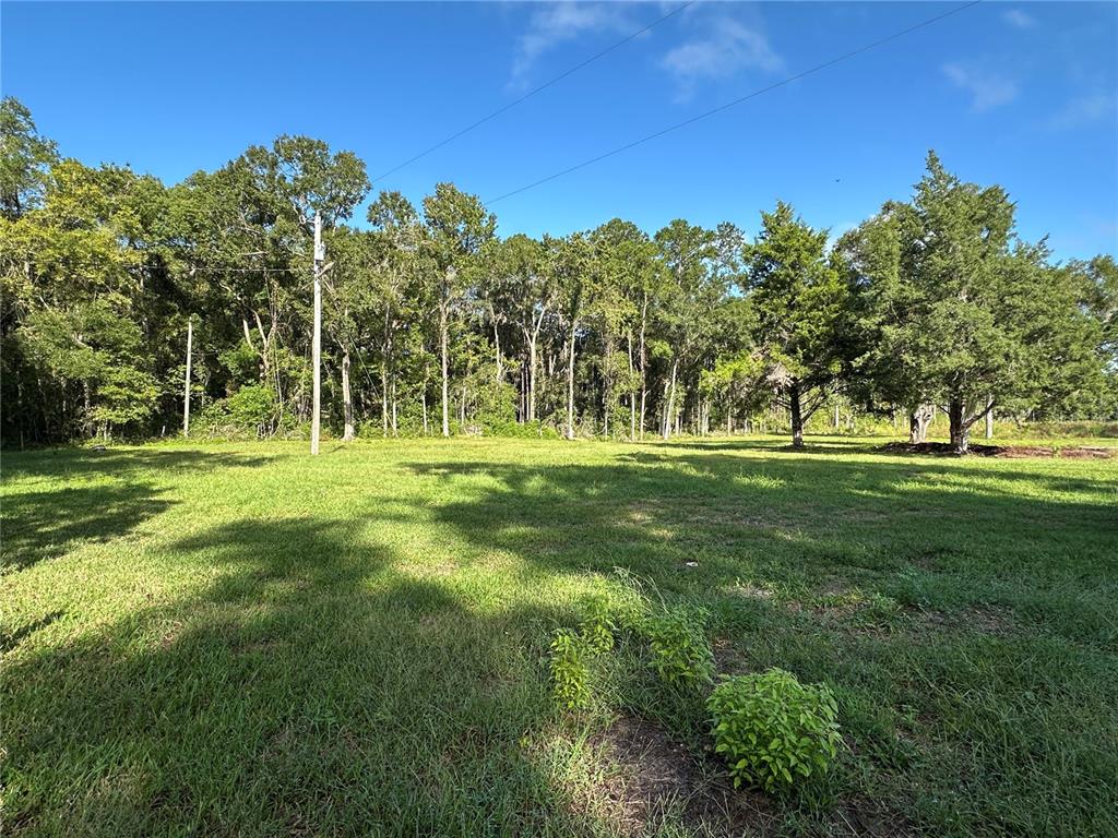 5542 Southwest 57th Avenue Gainesville, FL 32608 - Photo 7 of 15 a garden view with a trees