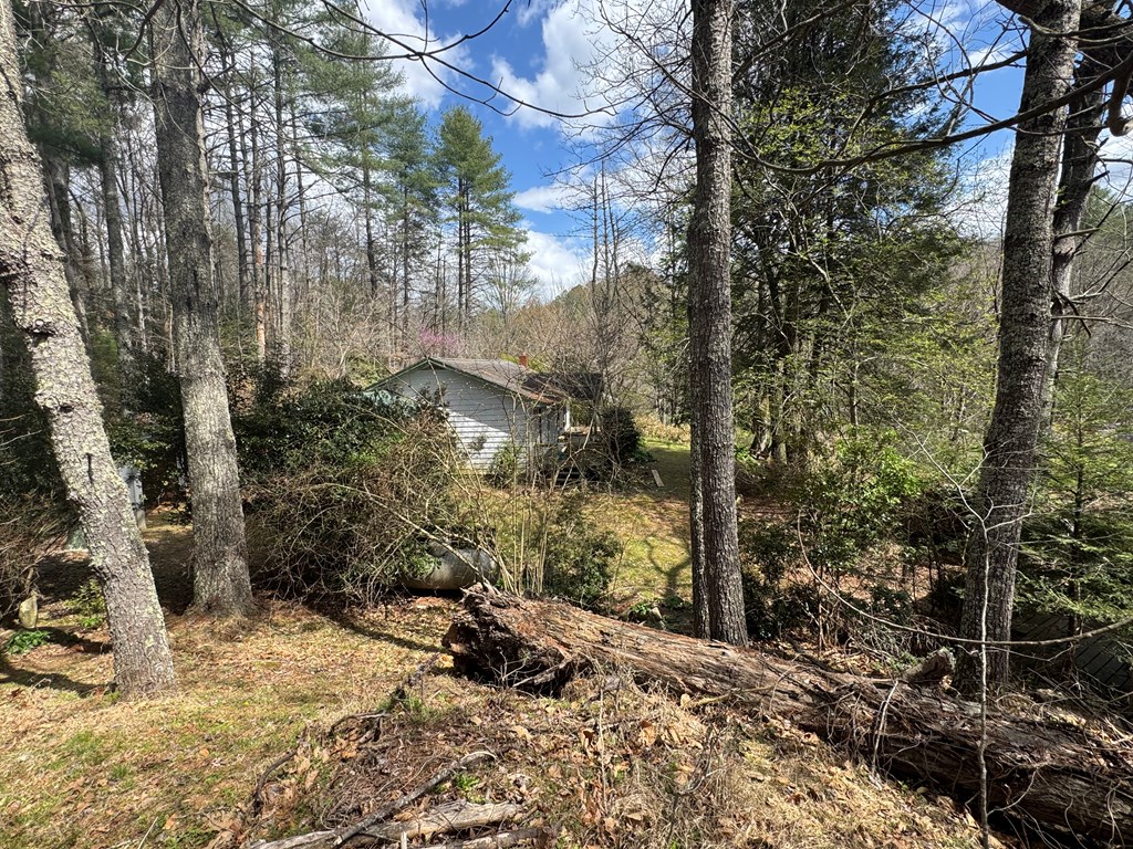 671 Greasy Creek Road Brasstown, NC 28902 - Photo 4 of 22