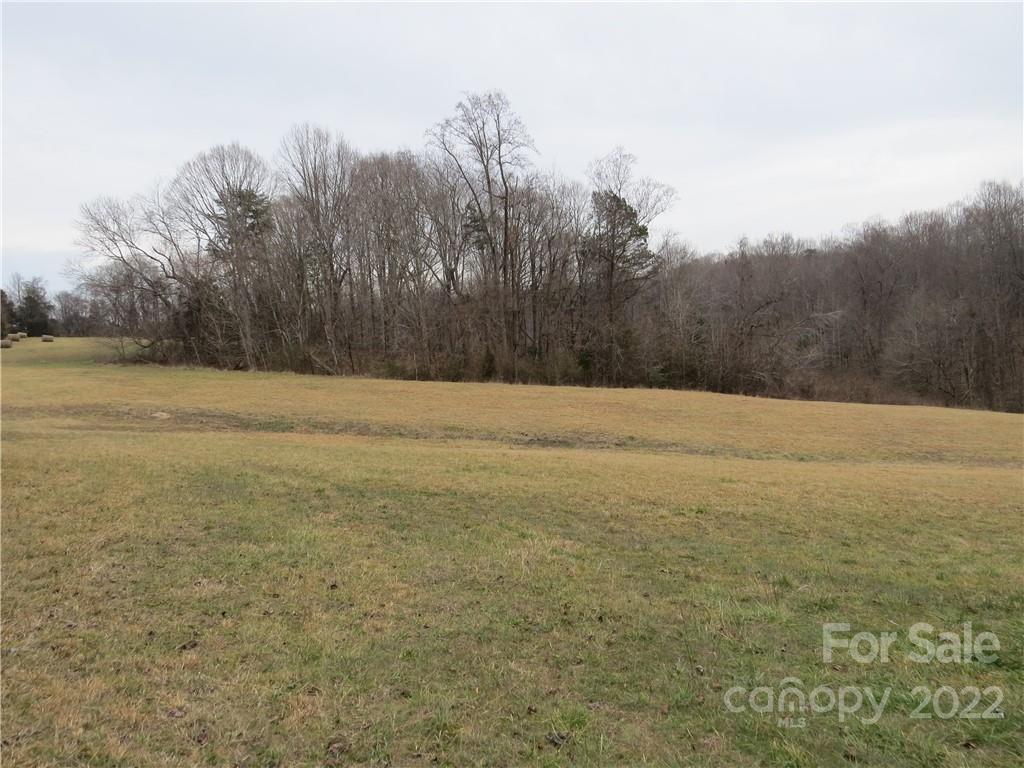 26 Mitchell Farm Road Statesville, NC 28625 - Photo 16 of 23 a view of yard