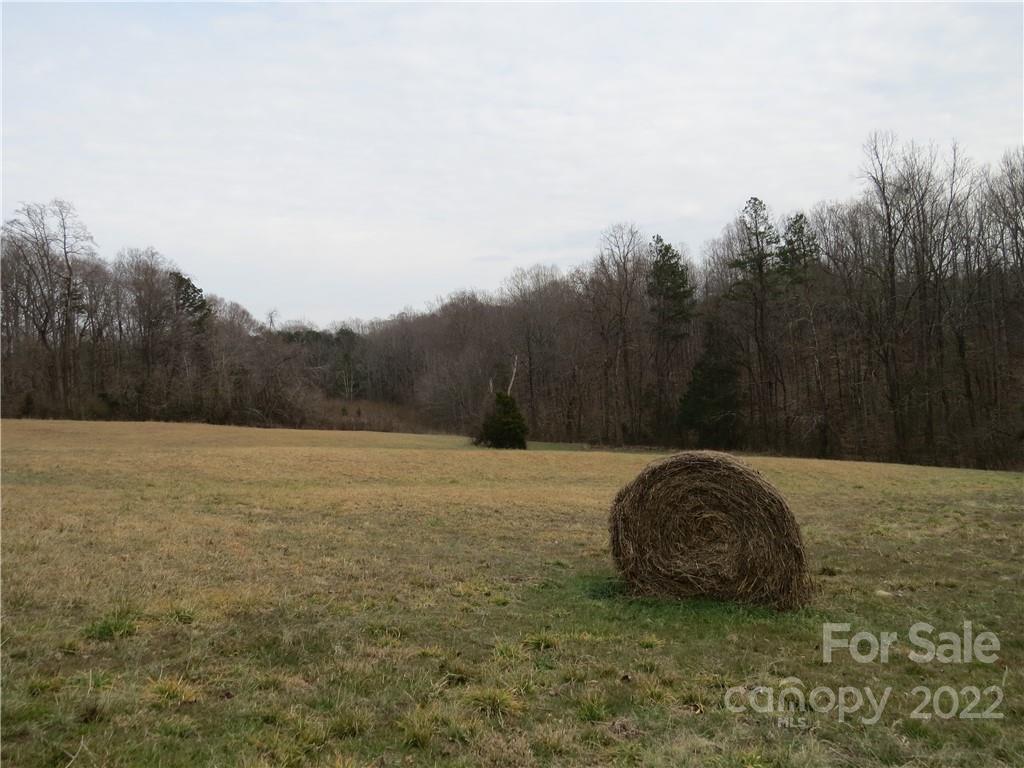 26 Mitchell Farm Road Statesville, NC 28625 - Photo 2 of 23 a view of a field with trees in the background