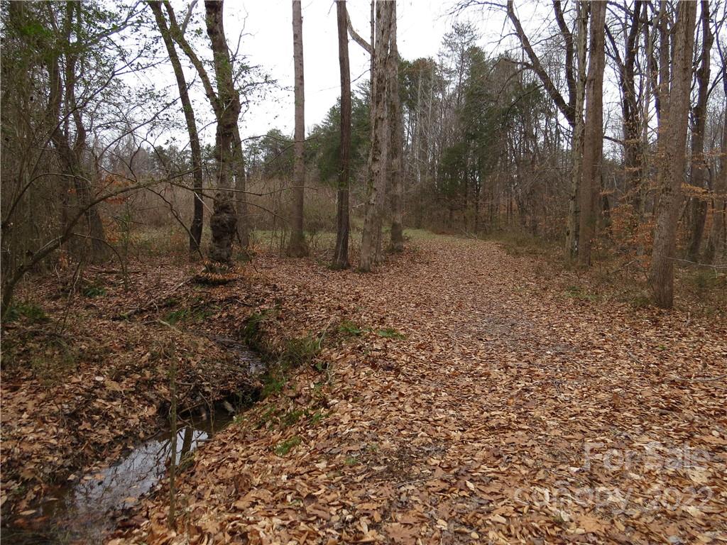 26 Mitchell Farm Road Statesville, NC 28625 - Photo 6 of 23 a big yard with lots of green space