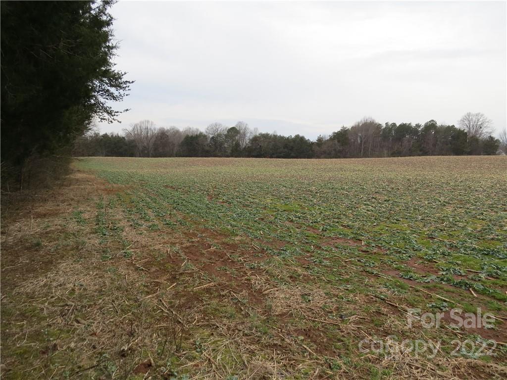 26 Mitchell Farm Road Statesville, NC 28625 - Photo 9 of 23 a view of lake