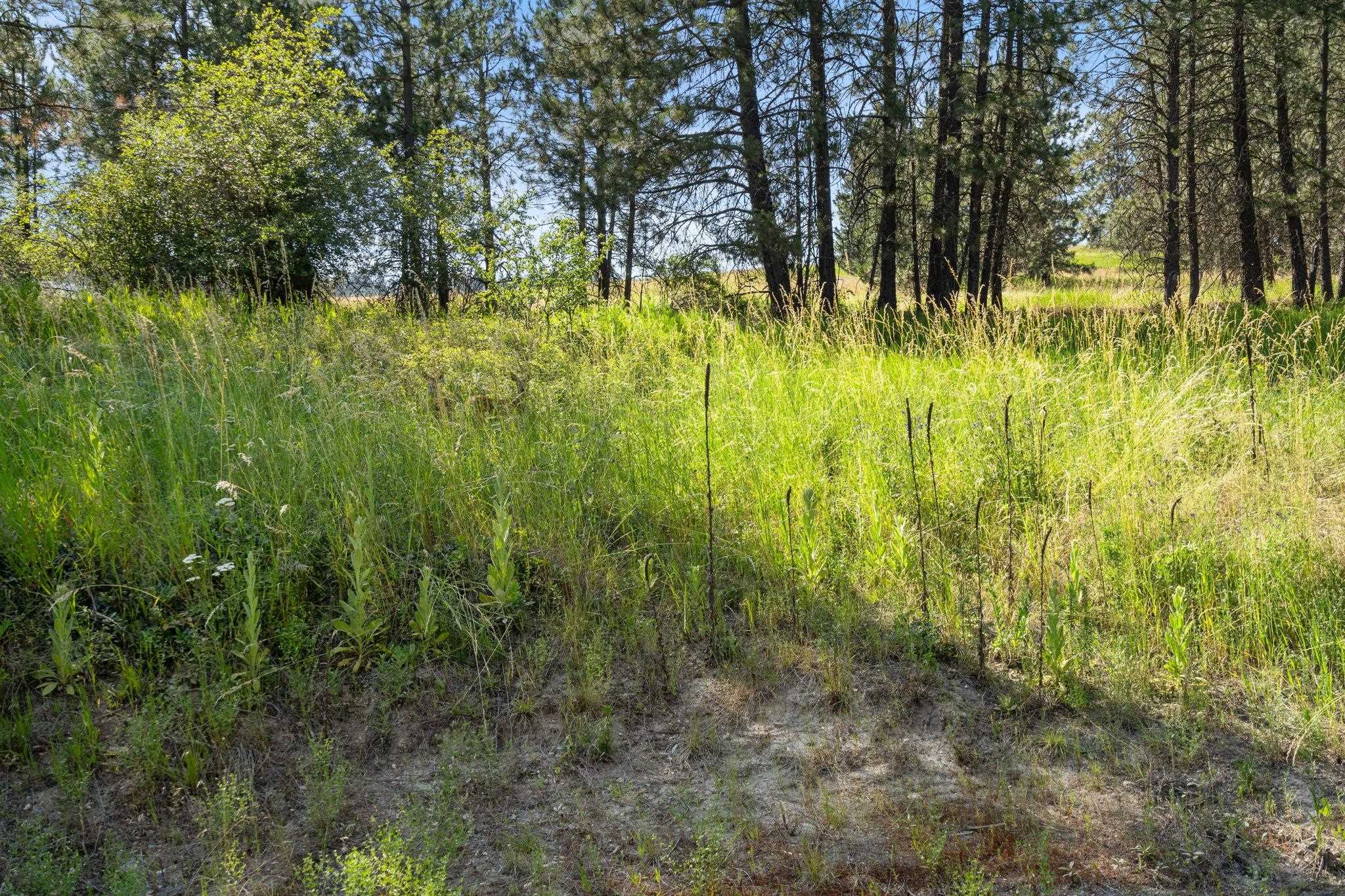 Xxx North Madison Road Mead, WA 99021 - Photo 24 of 25