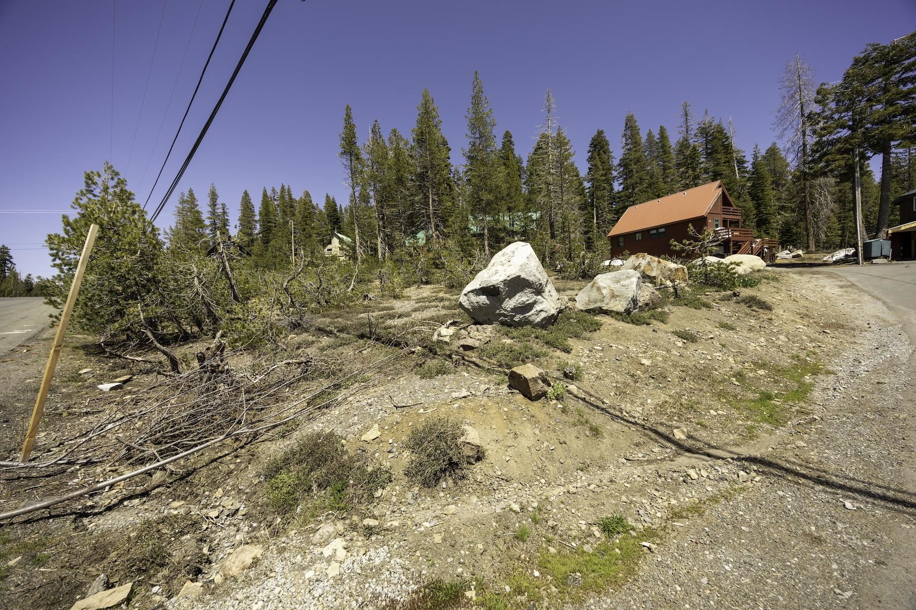 a view of a yard with tree s