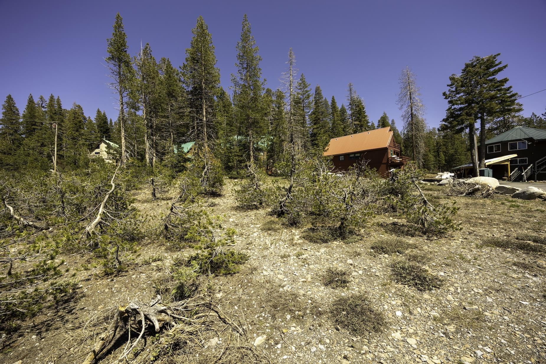 6784 Soda Springs Road Soda Springs, CA 95728 - Photo 11 of 15 view of a yard with mountain and trees