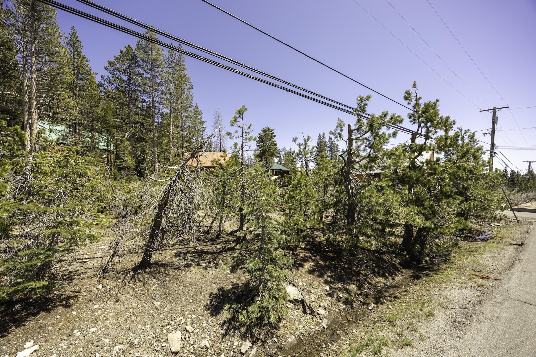 6784 Soda Springs Road Soda Springs, CA 95728 - Photo 4 of 15 a view of a yard
