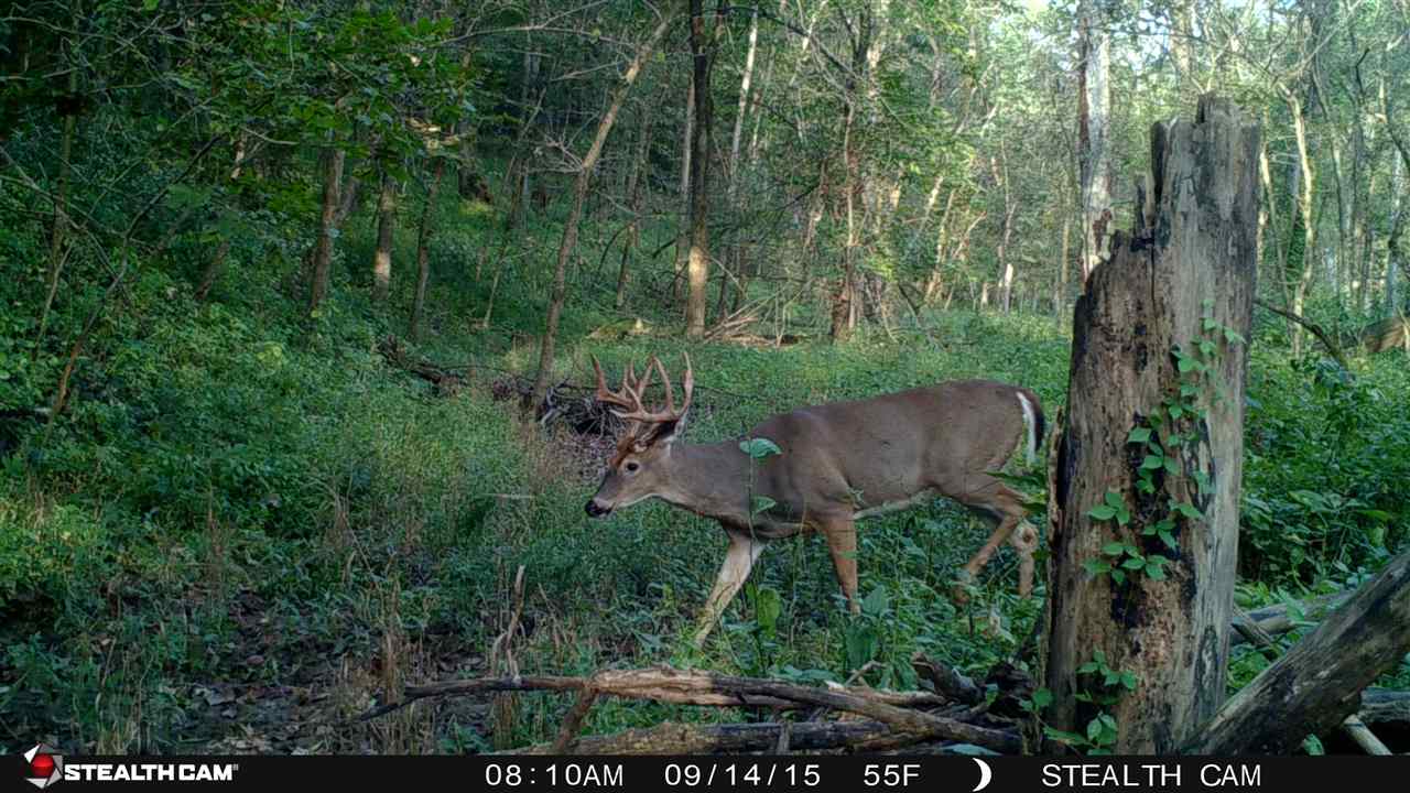 13-5n-1e East Holler Road Table Grove, IL 61482 - Photo 29 of 33