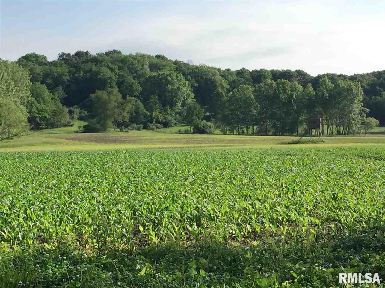 13-5n-1e East Holler Road Table Grove, IL 61482 - Photo 7 of 33