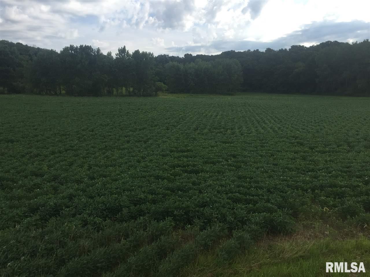 13-5n-1e East Holler Road Table Grove, IL 61482 - Photo 8 of 33