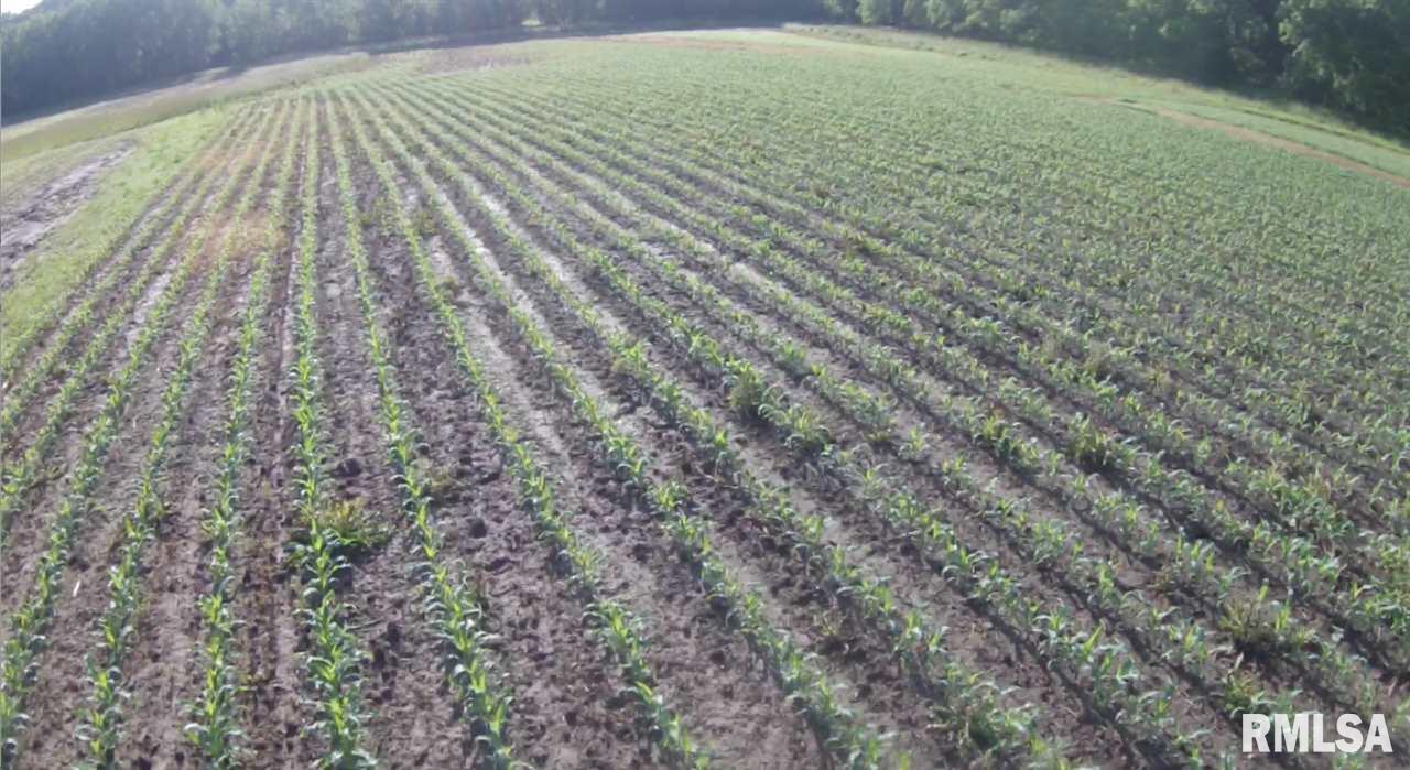 13-5n-1e East Holler Road Table Grove, IL 61482 - Photo 9 of 33