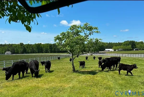 $1,250,000 | 19609-19605 White Oak Road, Sutherland, VA 23885