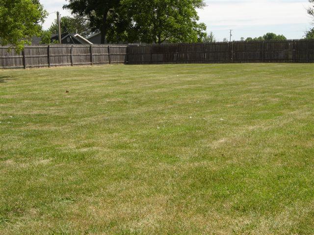 75 5th Street Pierson, MI 49339 - Photo 4 of 9 Additional Photo