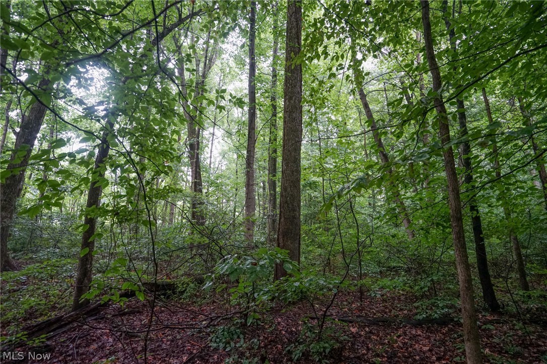 Duncanson Road Sardinia, OH 45171 - Photo 27 of 50 Gallery Image 27
