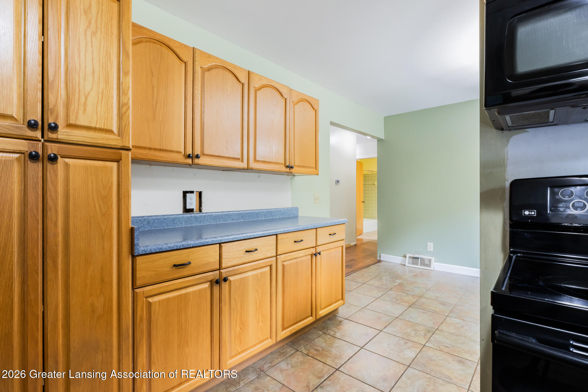 3715 Hulett Road Okemos, MI 48864 - Photo 11 of 48 3715Hulett10