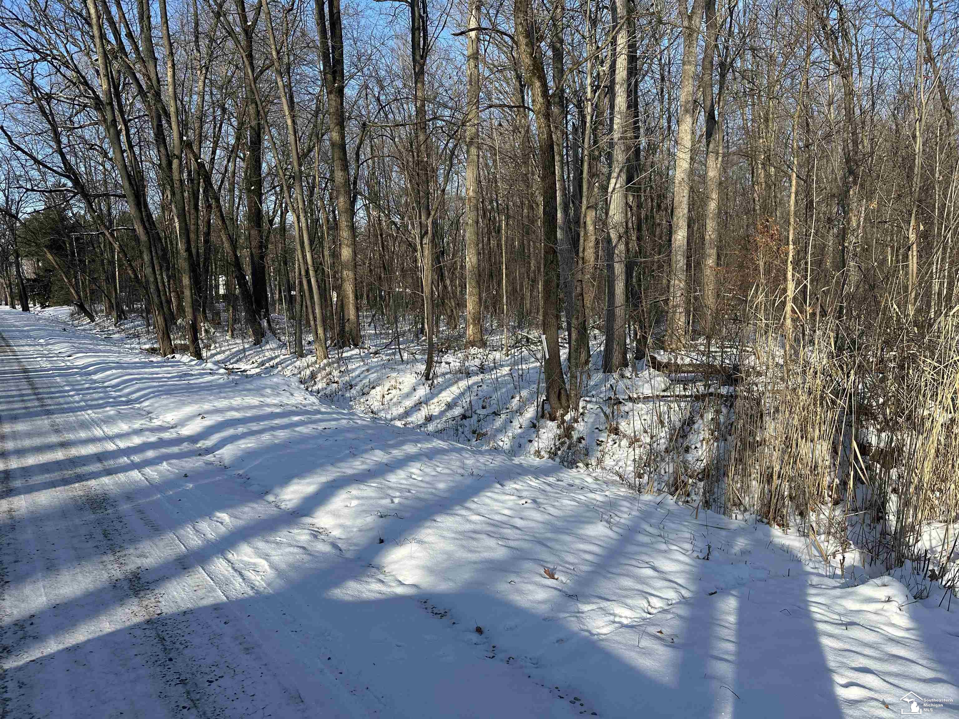 Hivon Road Carleton, MI 48117 - Photo 3 of 5