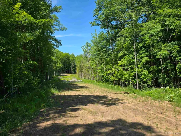 $20,000 | 1506 Sugar Maple Lane, Houghton, MI 49931