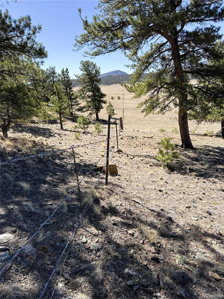 0 Campfire Road Hartsel, CO 80449 - Photo 12 of 42
