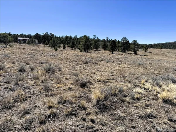 a view of a field with trees in the background
