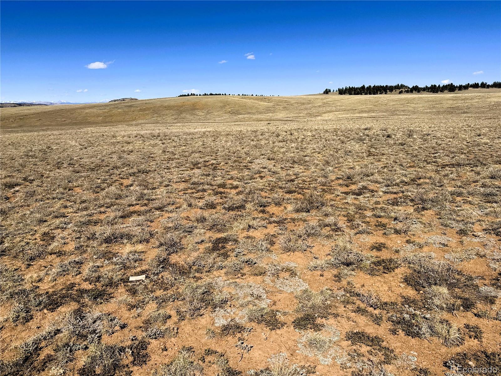 0 Campfire Road Hartsel, CO 80449 - Photo 21 of 42