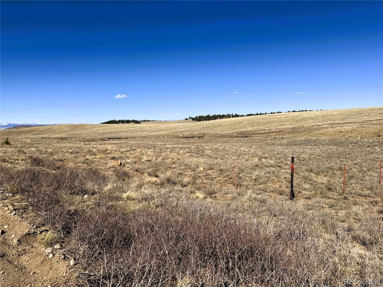 0 Campfire Road Hartsel, CO 80449 - Photo 22 of 42