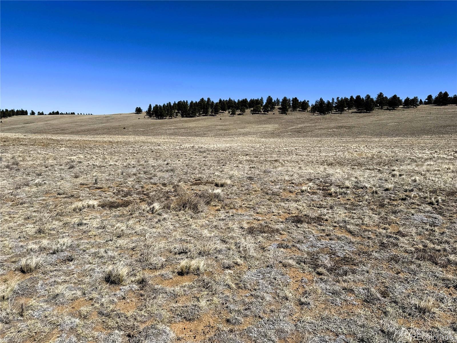 0 Campfire Road Hartsel, CO 80449 - Photo 32 of 42