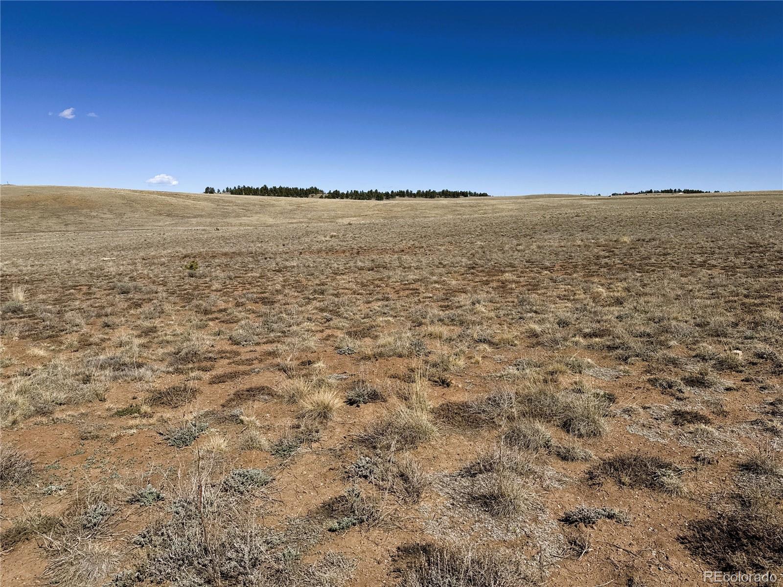 0 Campfire Road Hartsel, CO 80449 - Photo 33 of 42