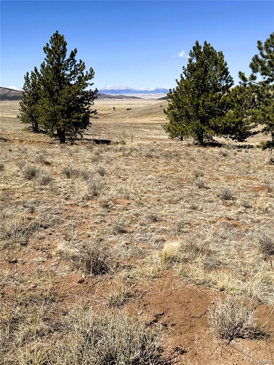 0 Campfire Road Hartsel, CO 80449 - Photo 39 of 42