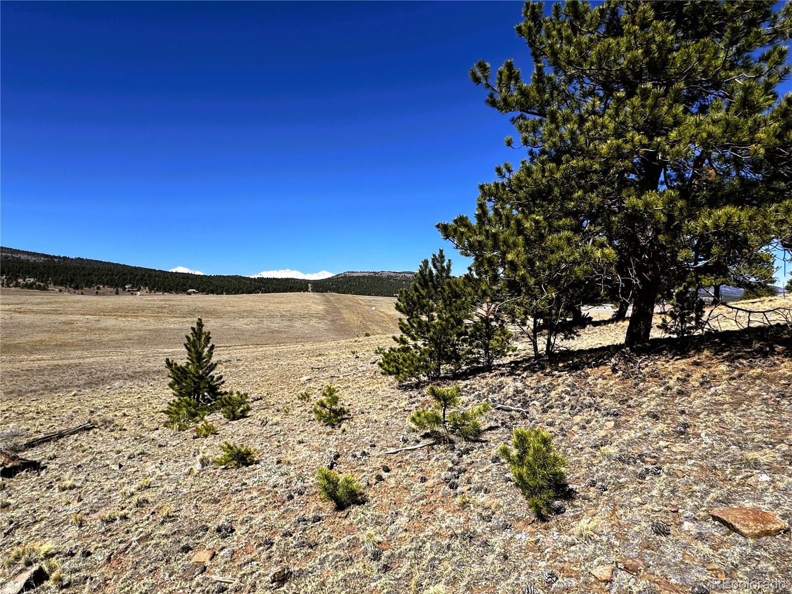 0 Campfire Road Hartsel, CO 80449 - Photo 40 of 42