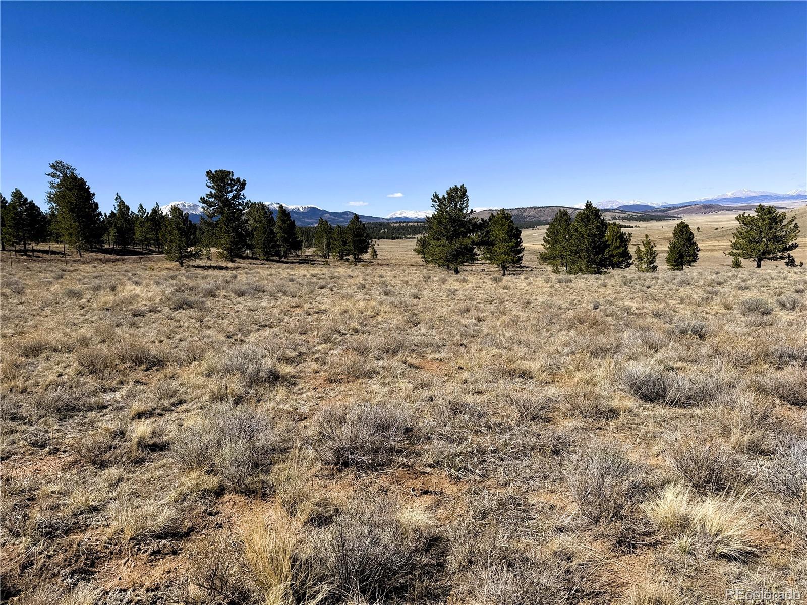 0 Campfire Road Hartsel, CO 80449 - Photo 5 of 42