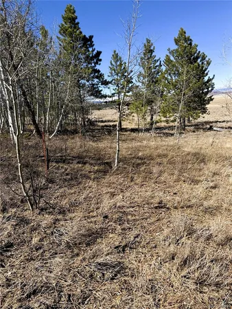 a view of a yard with wooden fence