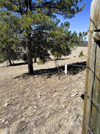 a view of a yard with wooden fence