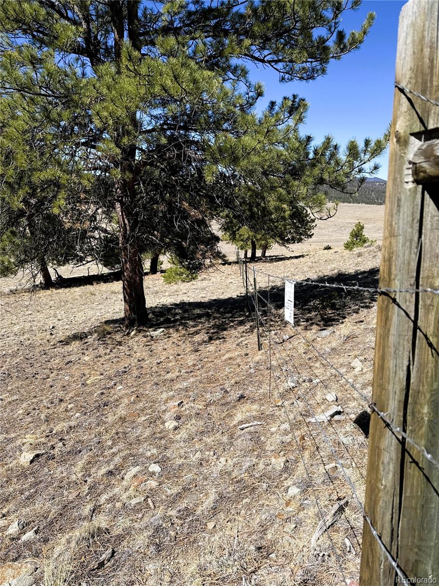 0 Campfire Road Hartsel, CO 80449 - Photo 9 of 42