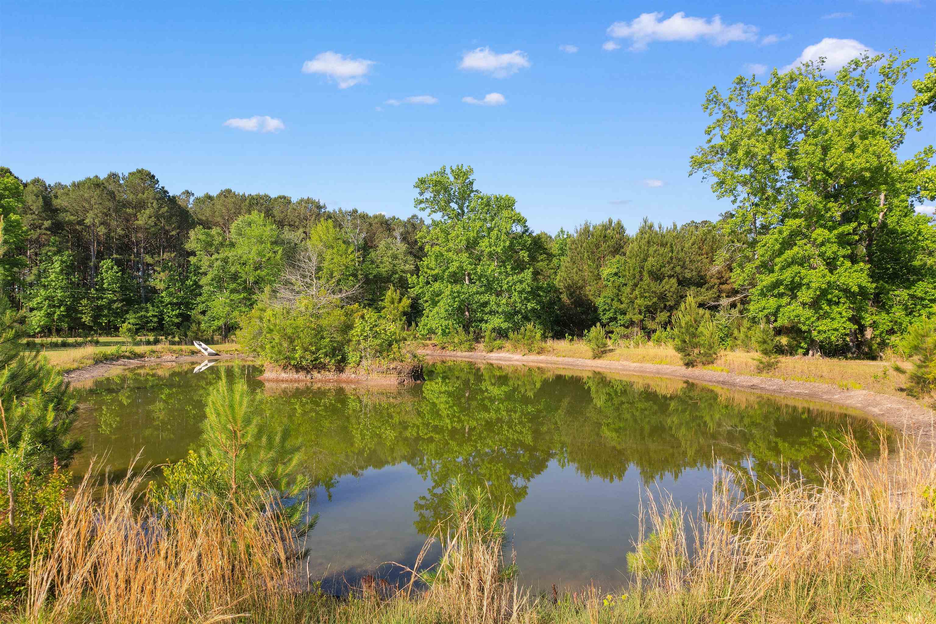1040 Wee Tee Road Andrews, SC 29510 - Photo 14 of 55