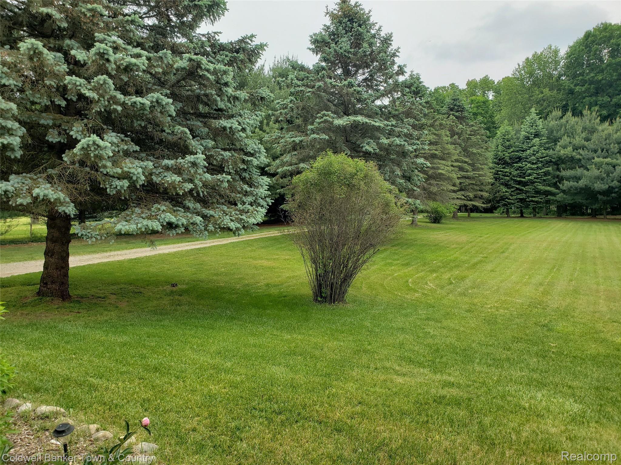 6988 Crofoot Road Fowlerville, MI 48836 - Photo 4 of 18 Front Yard View from front porch