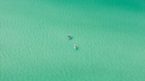 $2,895,000 | 89 Sand Dollar Court, Santa Rosa Beach, FL 32459