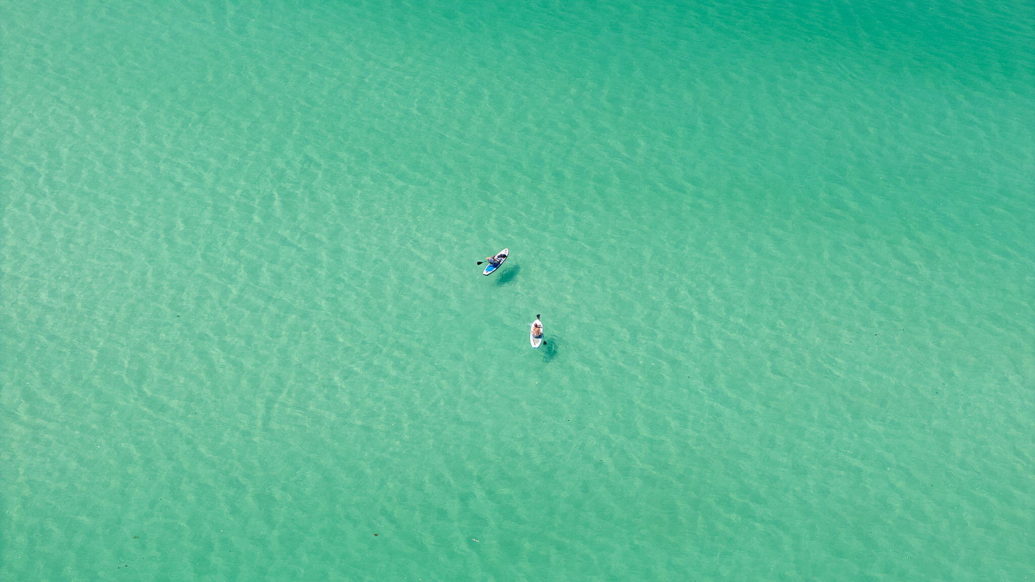 89 Sand Dollar Court Santa Rosa Beach, FL 32459 - Photo 80 of 85 Seagrove Beach