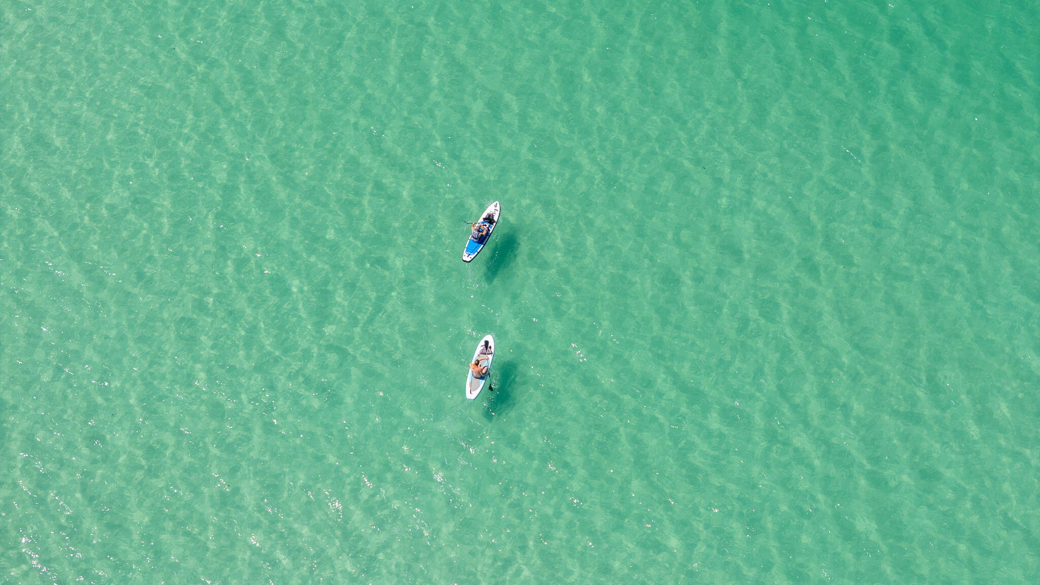 89 Sand Dollar Court Santa Rosa Beach, FL 32459 - Photo 82 of 85 Seagrove Beach