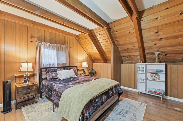 a close up of a tree